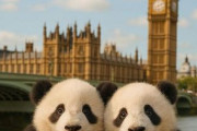 中国人「有名だけどガッカリする日本の観光地をあげていこう」　中国人「ただの小川」「有名観光地以外の場所に行こう！」