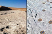 【世界ニュース】サウジアラビアが12万年前の人間の足跡を発見したと発表！それがこちらです→　海外の反応