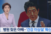 【韓国の反応】遅い足取りや口調に病院行きまで…日本の安倍の「健康異常説」拡散…韓国人「1日も早く回復して没落の道リードしてくださいwww」