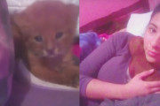 アルゼンチンで保護した黒目が印象的で可愛い子猫ちゃんは実は普通の猫ではなかった？！