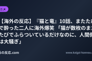 【海外の反応】『猫と竜』10話、またたびで酔った二人に海外爆笑 「猫が数枚のまたたびでふらついているだけなのに、人間側は大騒ぎ」