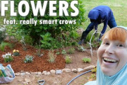 国際カップルがはじめての花壇づくり！！外国人「花や植物を植えるとこんなに庭の雰囲気が変わるんだね」