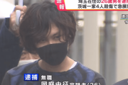 猫を殺していた日本の中学生が成長し茨城一家を襲う