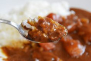 海外「日本のカレーを嫌いな人っているの？」本場のインド人に質問した回答がコチラ