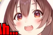 【悲報】戌神ころね、うっかり身バレトークをしてしまいガクブルが止まらない・・・外国人「よし、日本のデータを集めてくれ」【ホロライブ】