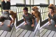 ニンゲンが芸をしたからアタシが褒めてあげる！ゴールデンレトリバーの愛情