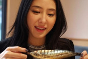 韓国人「日本の定食は本当に安いのか？」韓国人が日本旅行中に経験した「鯖の塩焼き定食」についての感想が話題に　韓国の反応