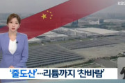 韓国人「中国電気自動車市場の大規模赤字に『相次いで倒産』···リチウム生産地が危機に直面」　韓国の反応