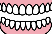 日本人は歯並びが悪いのをキュートだと見做すの？　【海外の反応】
