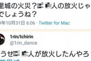 【首里城火災】韓国人「日本人がデマを拡散中！」→日本人「首里城火災を起こしたのはXX人だ！」　韓国の反応