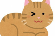 「11歳の猫を引き取ったら13歳の娘とべったり…これは娘が1週間ぶりにキャンプから帰ってきたときの様子」