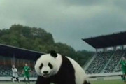 中国人「サッカーW杯日本対オランダ、試合後のオランダ監督『日本を少し甘く見ていた』」　中国人「ドイツもそう思っていた」「まだ日本を見下すチームがあるとは」