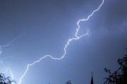 「落雷で丸裸になってしまった大木…」どんな条件のときに起こるのか