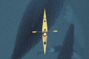 外国人「ガチで海が恐ろしくなってしまう画像を見せていく！」