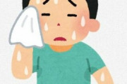 海外「夏に日本へ旅行する人へアドバイスがある」