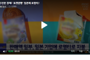 韓国人「韓国で大人気のポケモンパン、食べれば食べるほど日本が潤うことが判明した！！」
