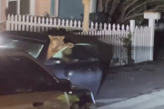 車の中に閉じ込められてしまった2匹の子熊さん、駆けつけた警官のおかげでママ熊の元へ