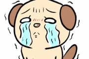 日本のCM　“これは俺が女の子をゲットする役に立つ”　【海外の反応】