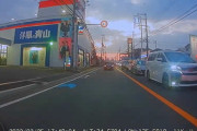 こういう人いるよねー！っていう逆走車