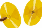 「いなかの屋根裏から昔懐かしき『あのサルのおもちゃ』を見つけてしまった…」ちょっぴり不気味な写真