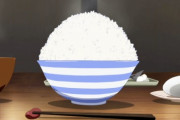 外国人「ただのご飯です。」【澪のアレ】