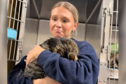 【海外】家族に捨てられた猫の悲しい真実 – その顔を隠す理由とは？