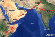 中国人「新型コロナで大変な時に1000億匹のバッタがすぐそこまで来てて我が国まで来るのも時間の問題なのに、何故みんな焦らないのか？」