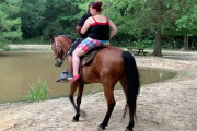 重量注意！太ましい男女が乗馬に挑戦→馬が傾斜を登れず川に放り出される