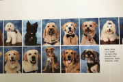 銃乱射事件のあったフロリダの高校で、卒業アルバムに14匹のセラピー犬のページが作られる（アメリカ）