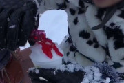 日本のスキー場がタイ人に「雪をかき氷にしないで！」と注意した結果！【タイ人の反応】