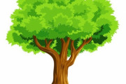 「この木を見ると、がんばる気持ちが湧いてくる…」倒れてもまた起き上がって育つとき