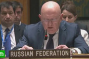 海外「ロシアの国連大使がウクライナはウイルスを媒介する蚊を使役していると非難」