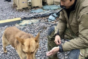 韓国紙「ウクライナに到着した義勇兵イ・グン "朝鮮戦争時に感謝" ... ネットユーザー "その時はソ連"」韓国の反応