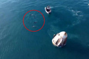 【海外】「NASA宇宙飛行士、フロリダでの帰還後にイルカたちから驚きの歓迎！その感動的な瞬間とは？」