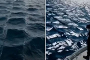 海の波が格子状に！いったい何が起きている？
