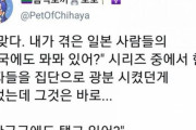 韓国人「韓国人男性を発狂させる日本人の質問がこちら‥」→「日本人はそのまま愚民で居て下さい」　韓国の反応
