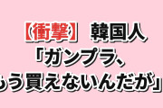 【衝撃】韓国人「ガンプラが買えなくなった時期、みんな同じ答えだった」