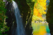 韓国人「日本製品は買いません、行きません」日本旅行に最も多く訪れた外国人は韓国人だった事が判明してしまう‥　韓国の反応
