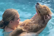 「水遊び楽しいけど疲れたワン…Zzzz」プールの中でご主人様に抱っこされたまま眠ってしまう犬にほっこり