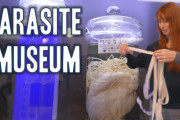 [閲覧注意！] 寄生虫博物館は気色悪いけど勉強になるね！