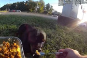 【海外】傷ついた犬と2時間過ごした警官、感動のランチシェアとは？