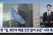【韓国の反応】国連「日本、慰安婦の解決進展せず、残念」謝罪の促し
