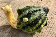 外国人「これ魂が宿ってるだろ…って果物と野菜を見ていこう」