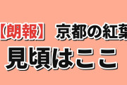 【朗報】韓国人「京都の紅葉、秋に行くなら時期はここ」