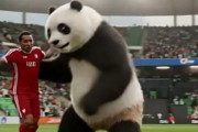 中国人「サッカー日本代表MFが結婚！またきれいな女優さん！またまた年上！！」　中国人「私の中ではまだ美少女」「俺の分まで幸せになってね！」