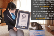 「Youtubeで最も視聴された動物は、日本のネコ "マルちゃん" でした！」海外の反応
