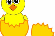「アマゾンには外敵を遠ざけるため恐ろしい変身をするヒナ鳥がいる」
