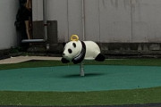 日本にあるストイックな公園(海外の反応)