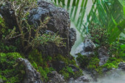 渓谷を作る日本人の技術が凄すぎると話題に（海外の反応）