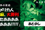 アメリカ人「大麻、大勝利きたああああああああ！！！！！」【海外の反応】